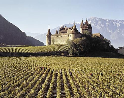 El Castillo d’Aigle en el valle del vino