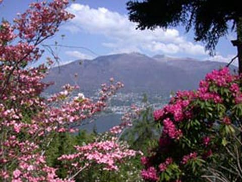 Jardín Botánico de Gambarogno Jardín Botánico de Gambarogno