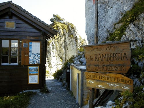 La Rambertia, jardín alpino a 2000 metros de alto