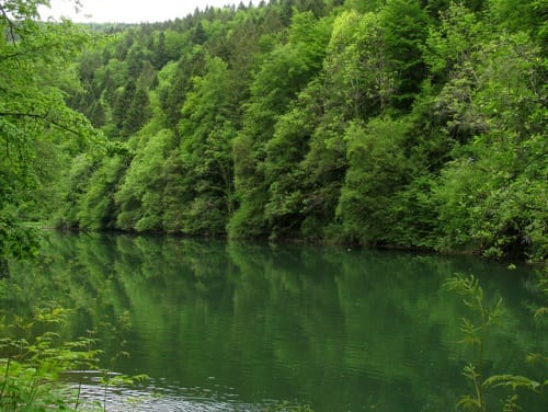 Un recorrido natural por el Parque Doubs Un recorrido natural por el Parque Doubs