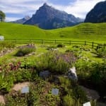 Los seis jardines suizos de Ricola