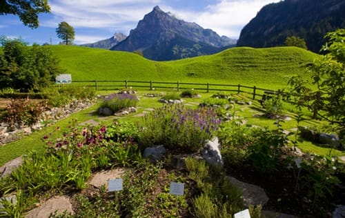 Jardines de Ricola en Suiza
